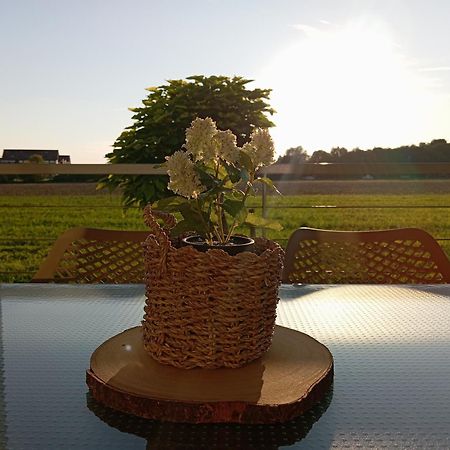 Apartmaji Aida Moravske-Toplice Buitenkant foto